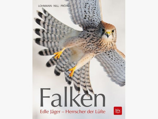 Lohmann/Nill/Pröhl - Falken, Edle Jäger- Herrscher der Lüfte