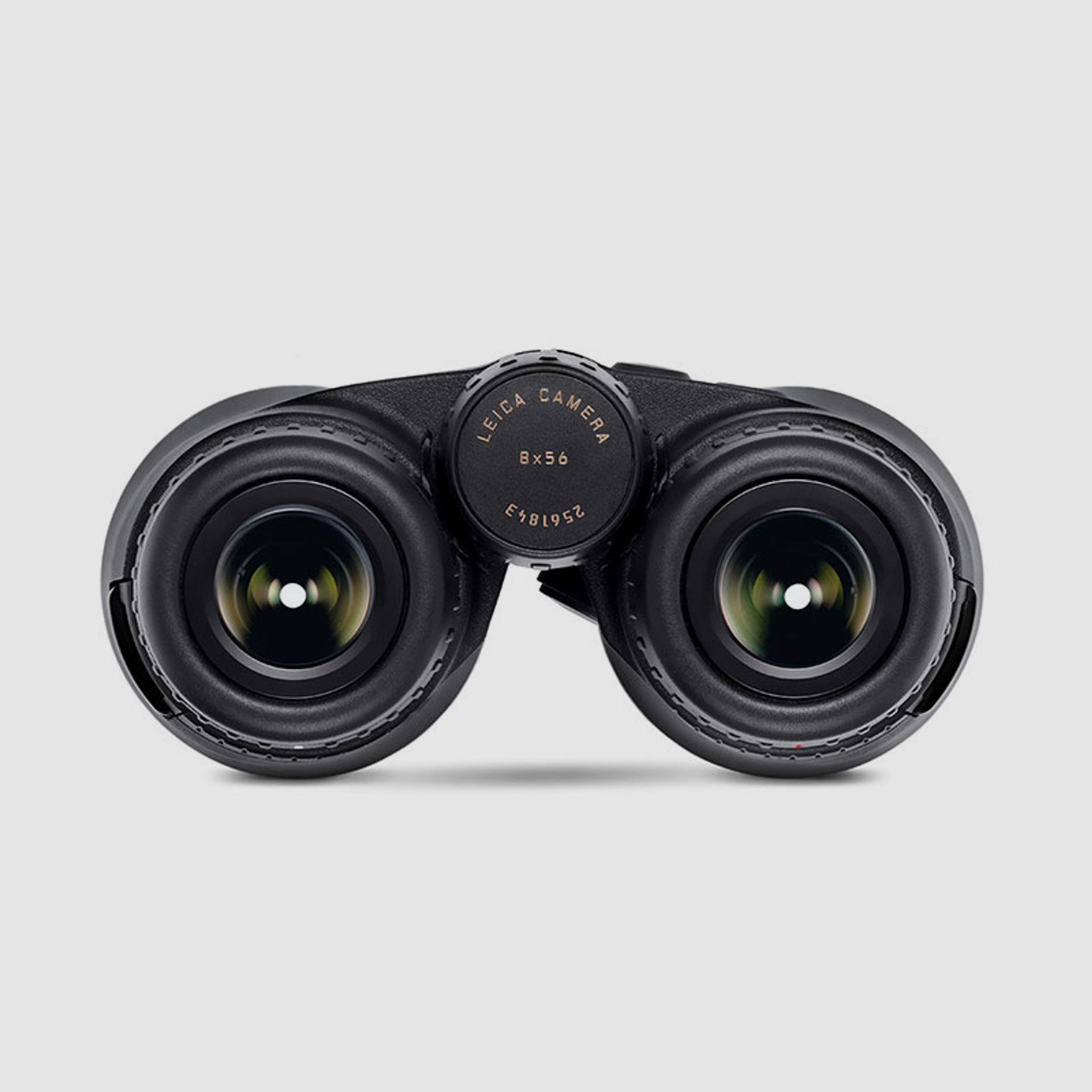 Leica Fernglas Geovid R 8x56