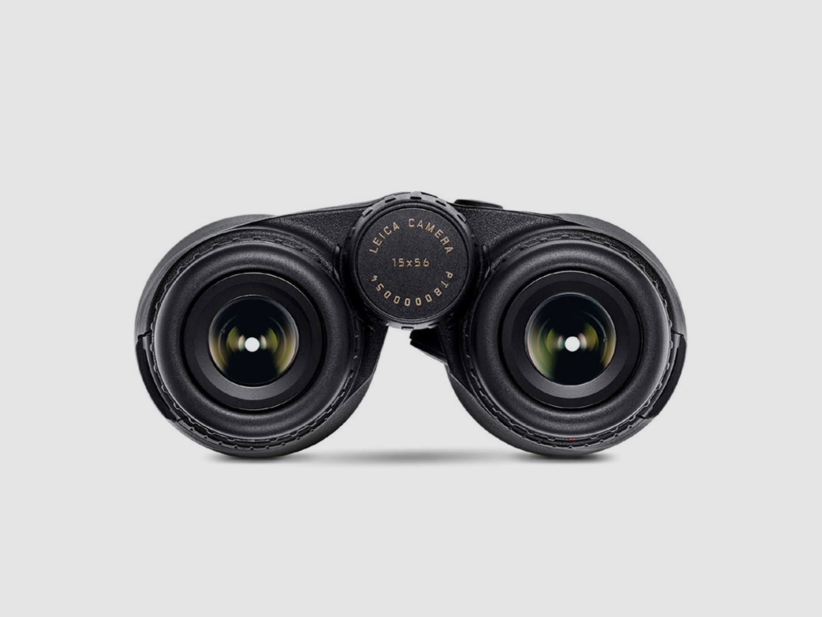 Leica Fernglas Geovid R 15x56