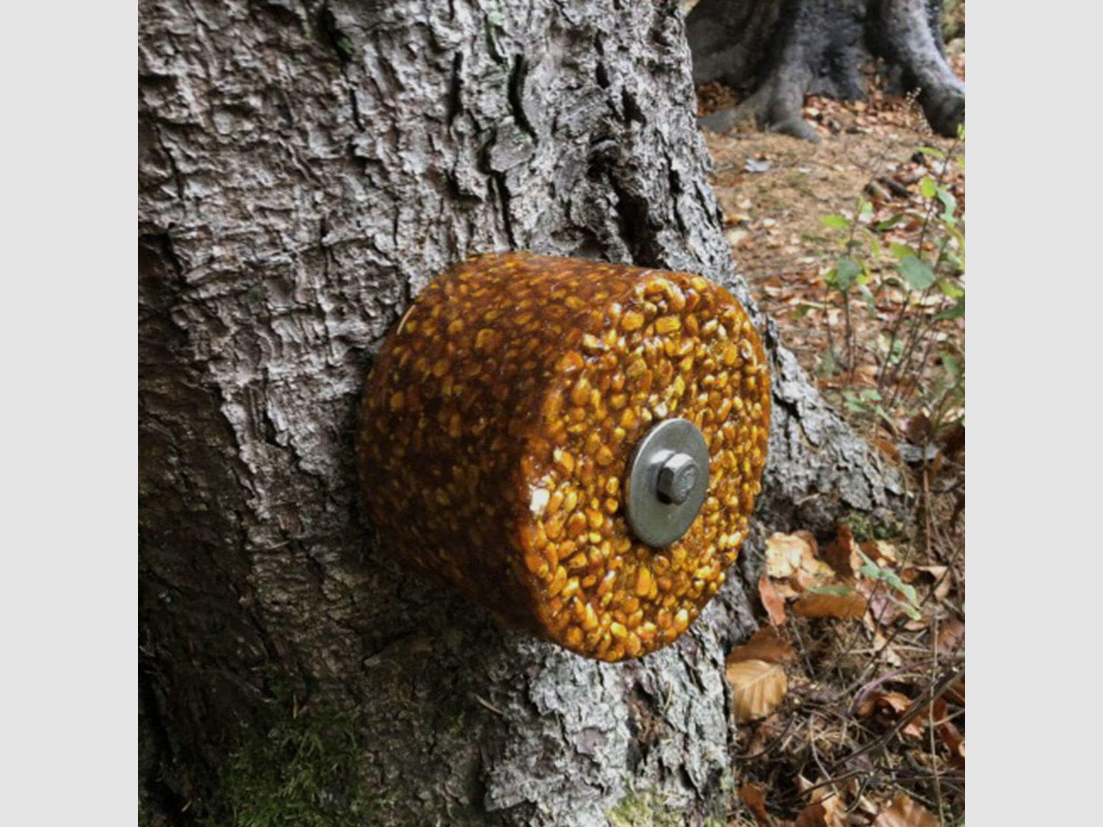 Wildlutscher Baum-Befestigungsset für Lecksteine