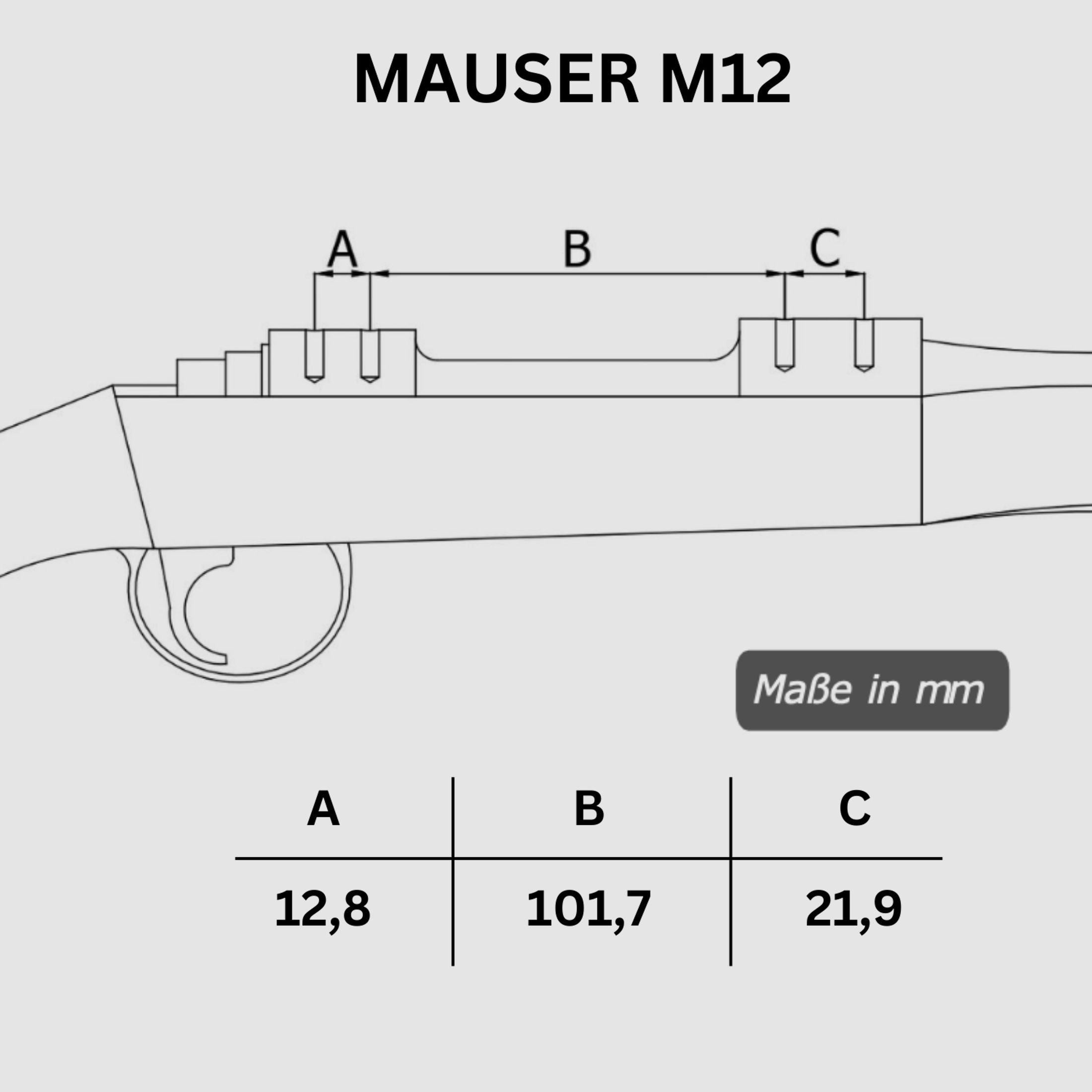Picatinny Rail MAUSER M12