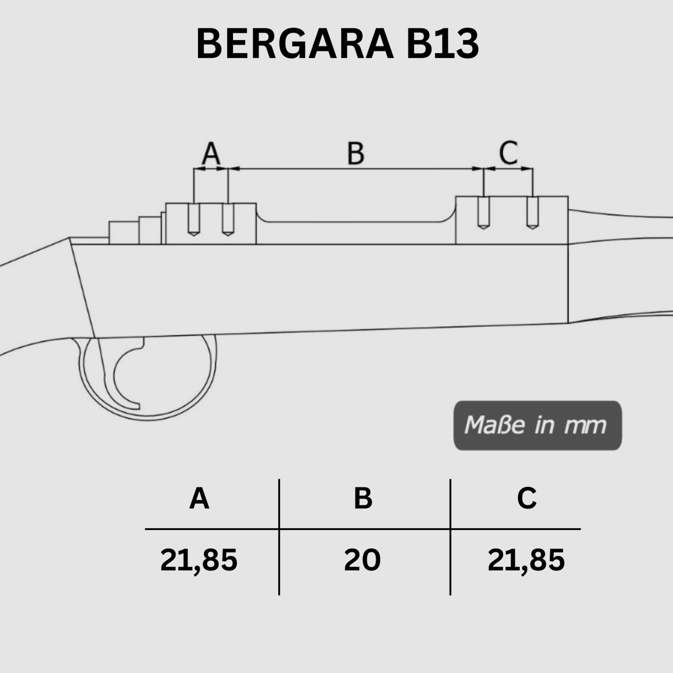Picatinny Rail BERGARA BA13