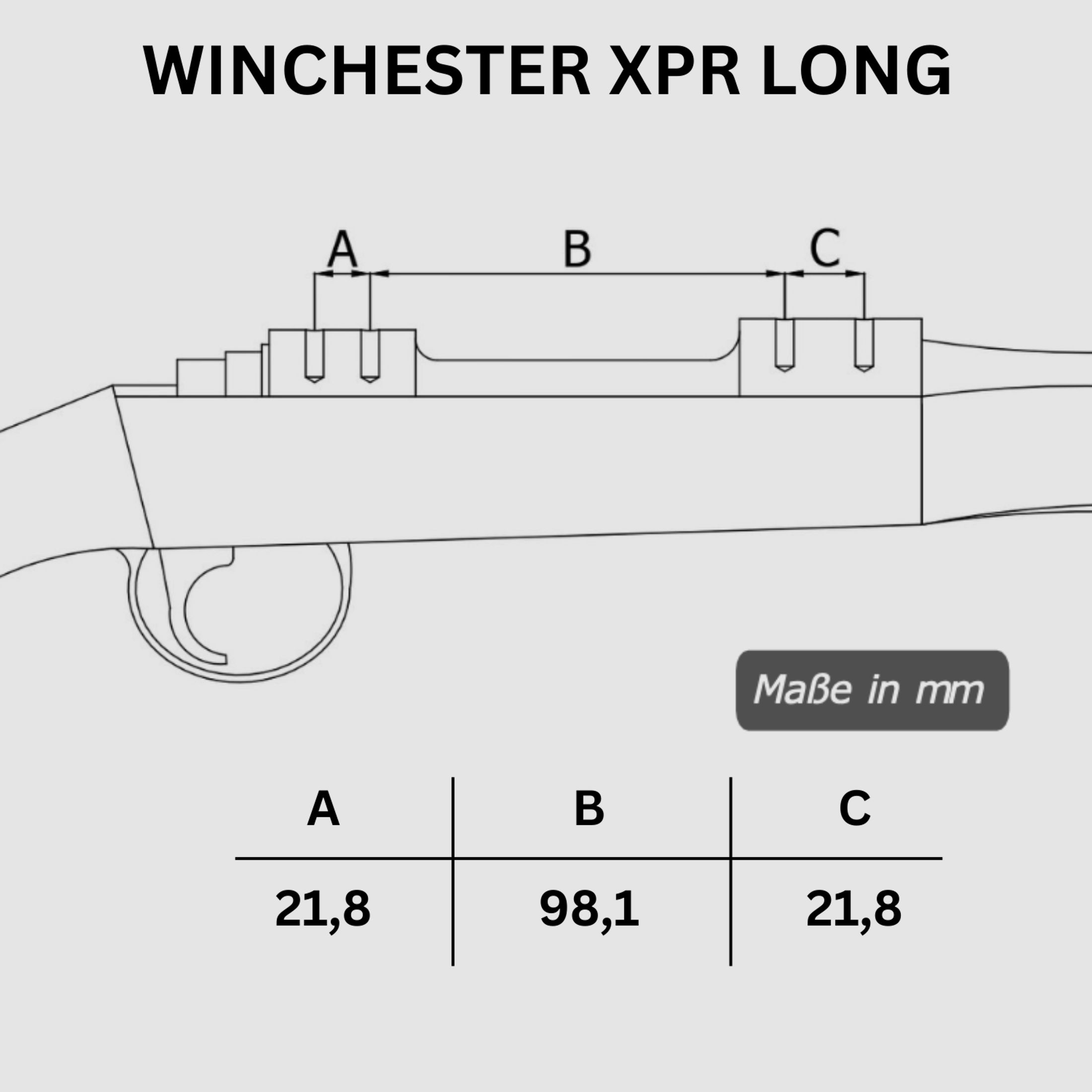 Picatinny Rail WINCHESTER XPR LONG NACHTSICHT