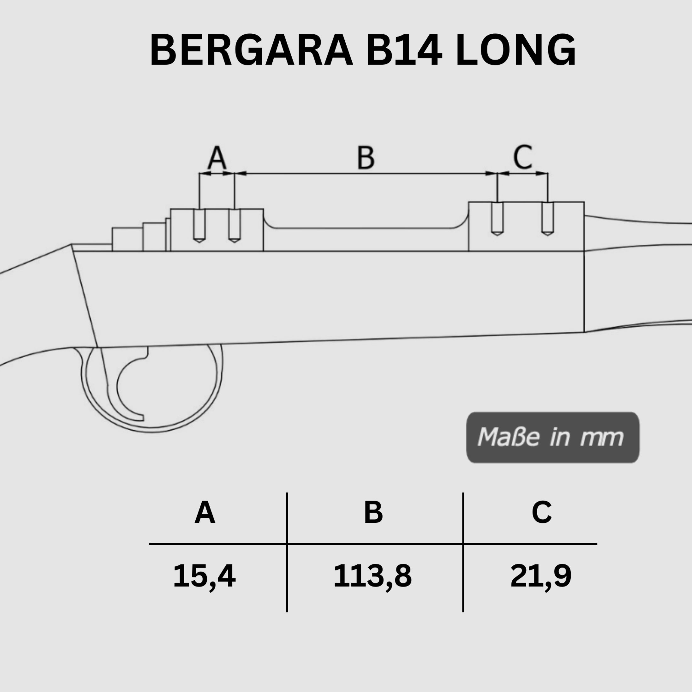 Picatinny Rail BERGARA B14 LONG