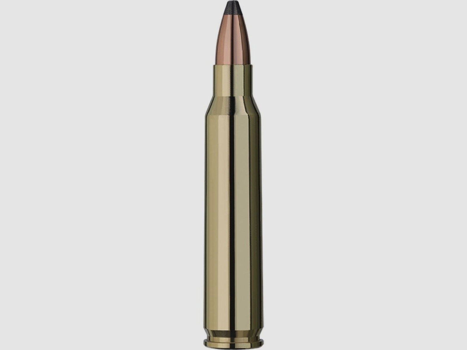 RWS TMS Büchsenpatronen .223 Remington 3,6g / 55grs - 20 Stück