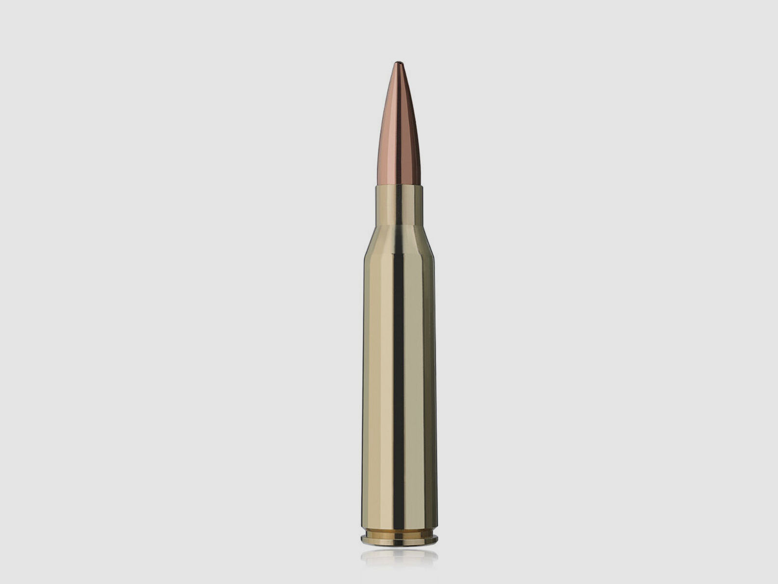 RWS Target Elite Plus Match Buechsenpatronen 300 grs .338 Lapua Magnum
