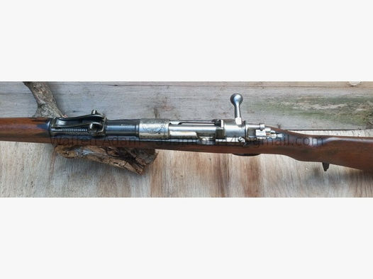 Mauser	 1909 Peru