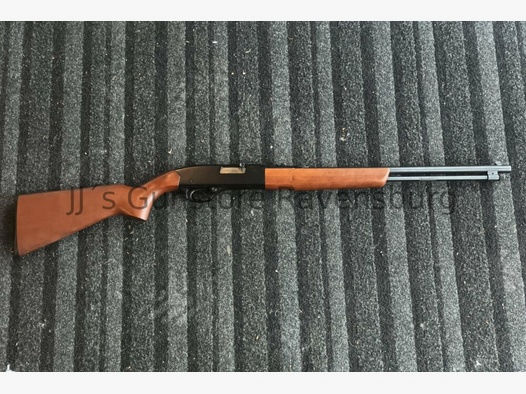 Winchester 190	 .22lr