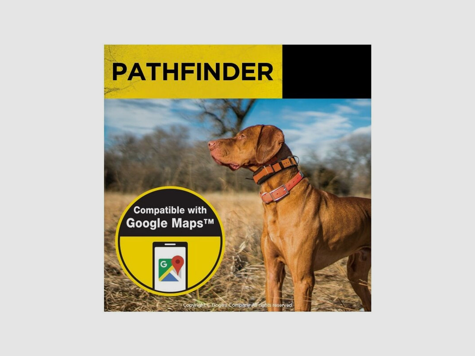Dogtra	 GPS Pathfinder