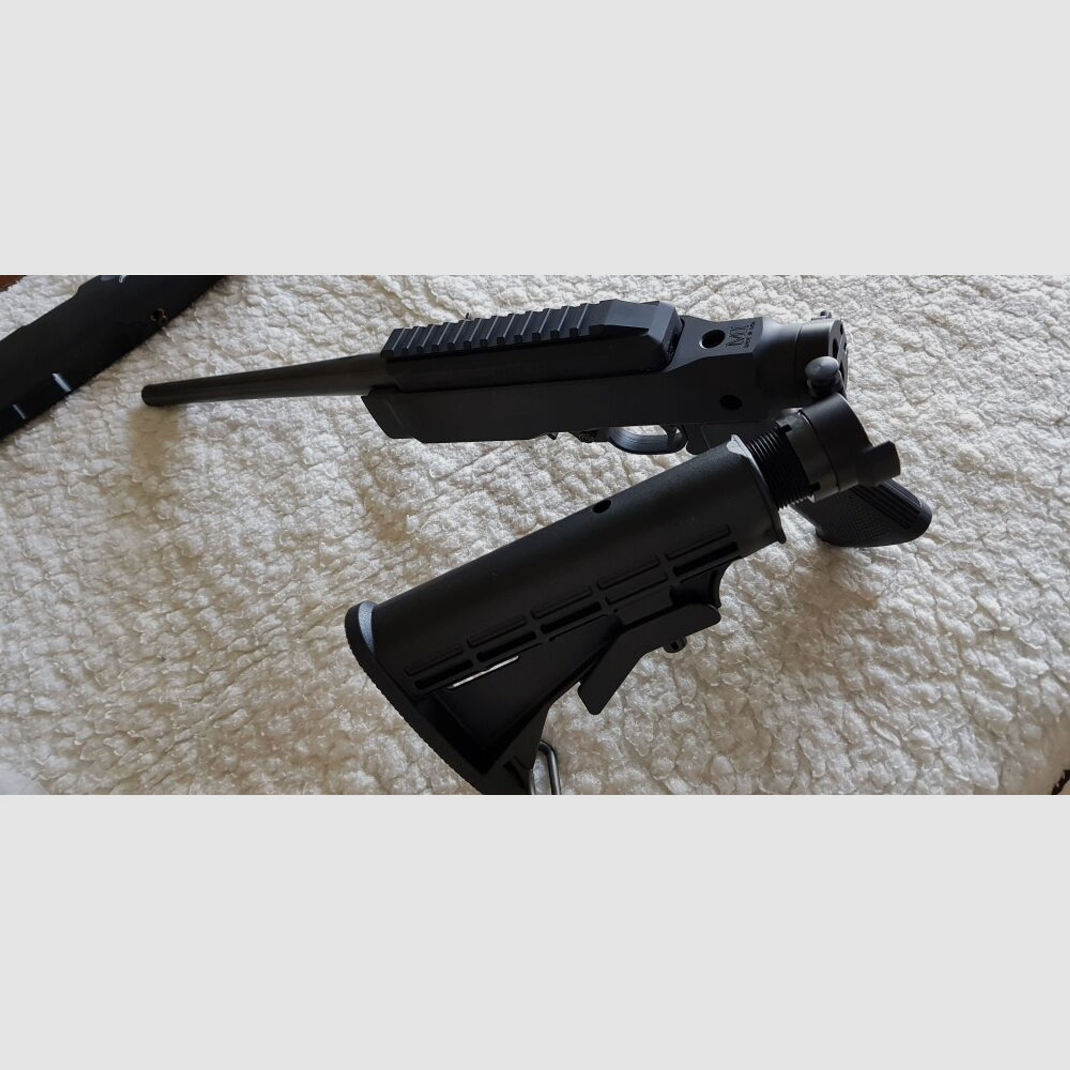 Ruger	 Charger 22