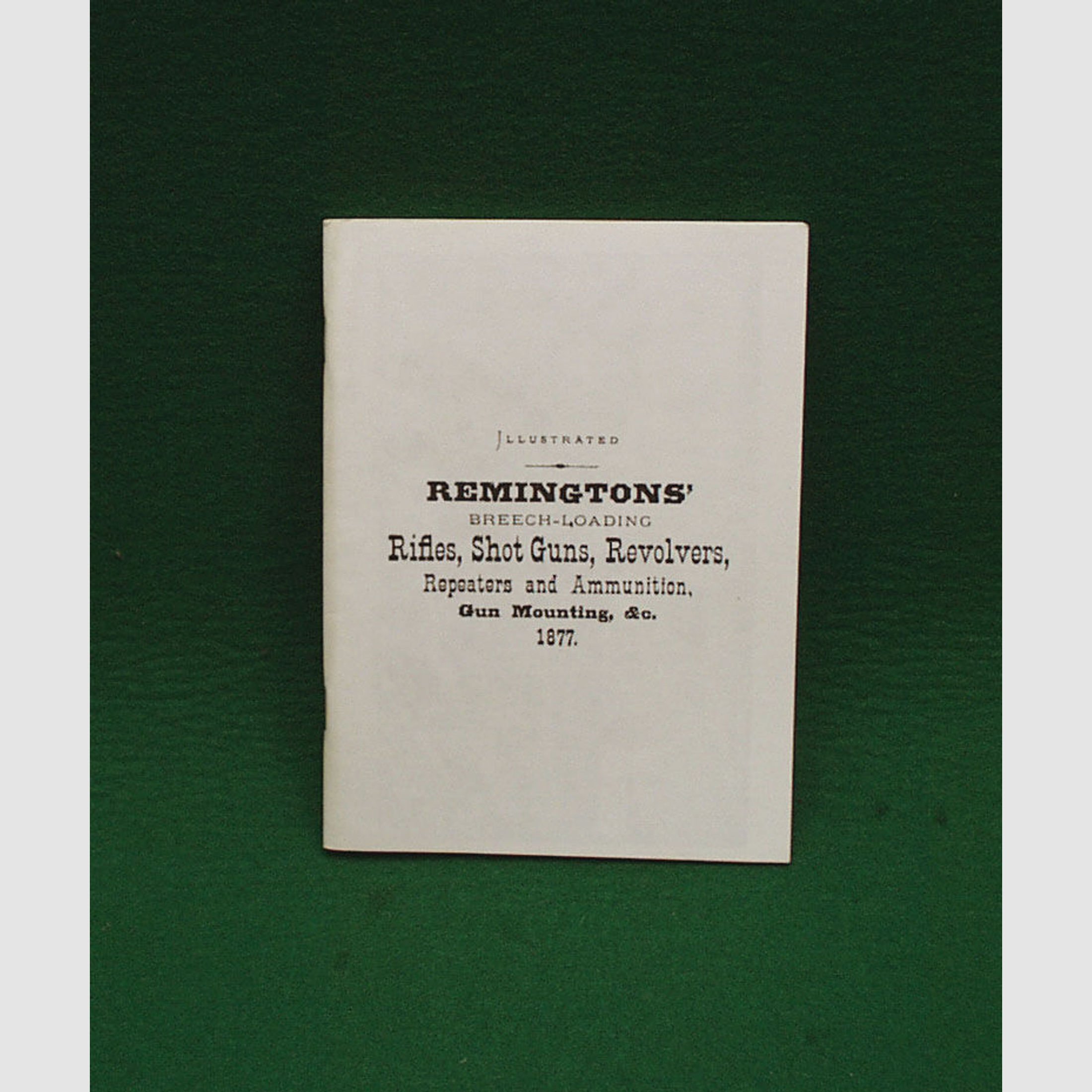 Buch/Taschenbuch	 Remingtons