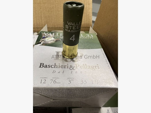Baschieri & Pellagri	 Valle Steel Magnum *Bleifrei* HV 12/76 33 g, 3,1 mm