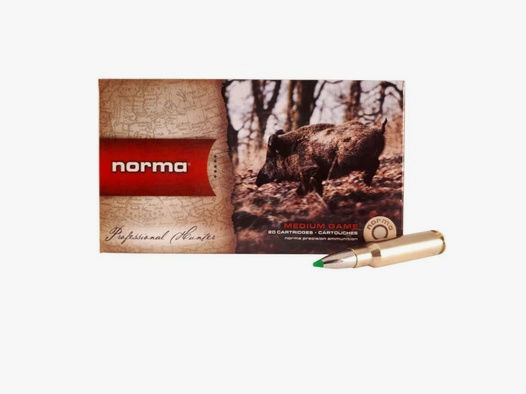 Norma	 .308 Win. Ecostrike 9,7g/150grs. Norma