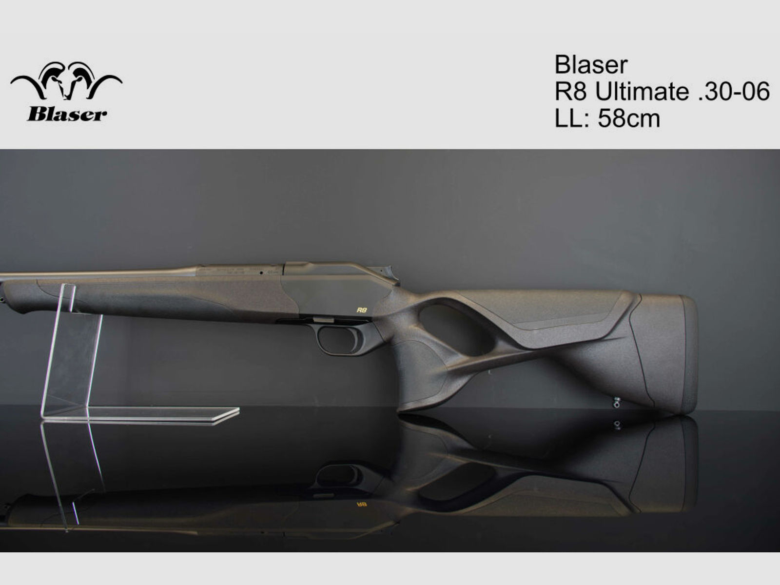 Blaser	 R8 Ultimate .30-06Spring LL:58cm