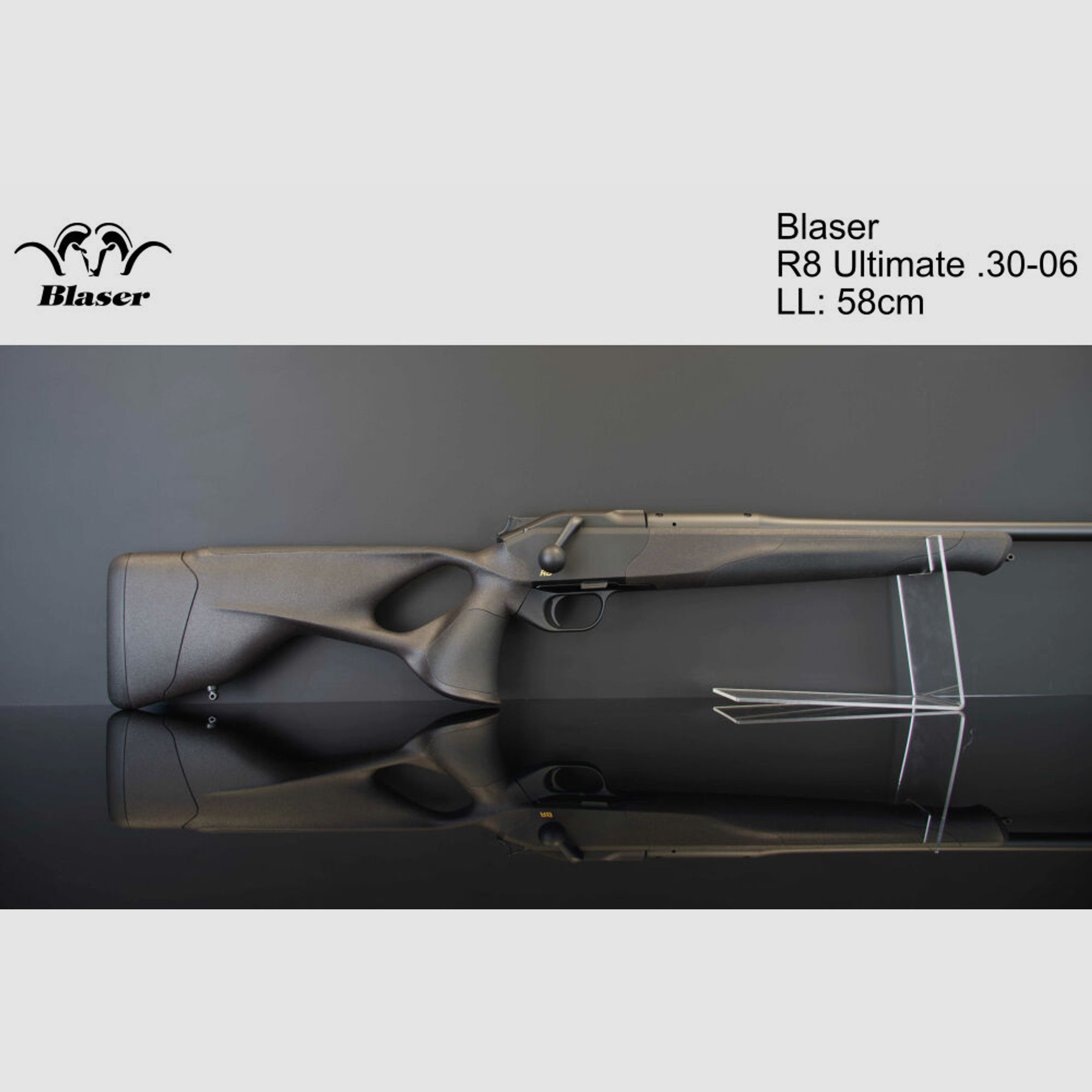 Blaser	 R8 Ultimate .30-06Spring LL:58cm