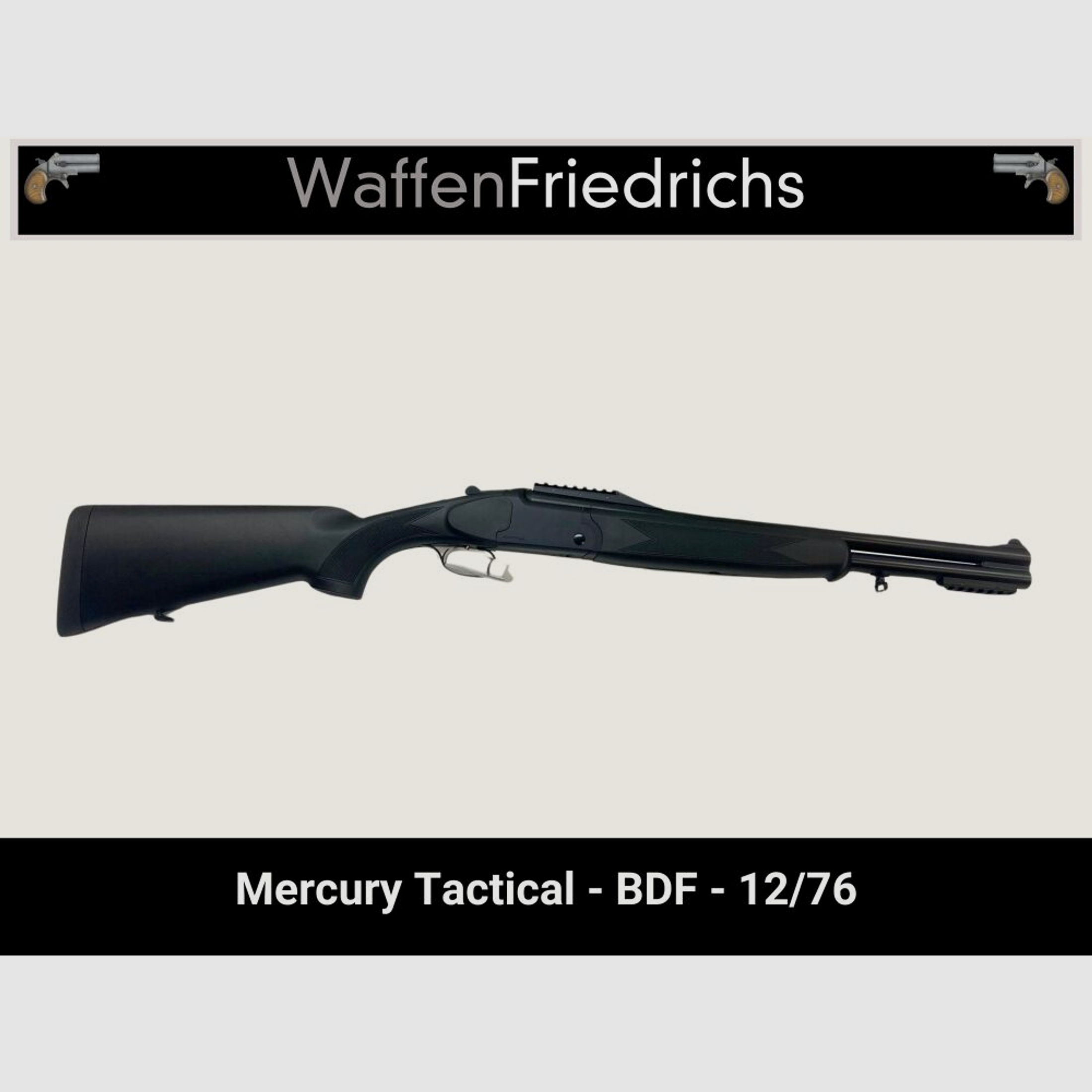 Mercury	 Tactical BDF - Waffen Friedrichs