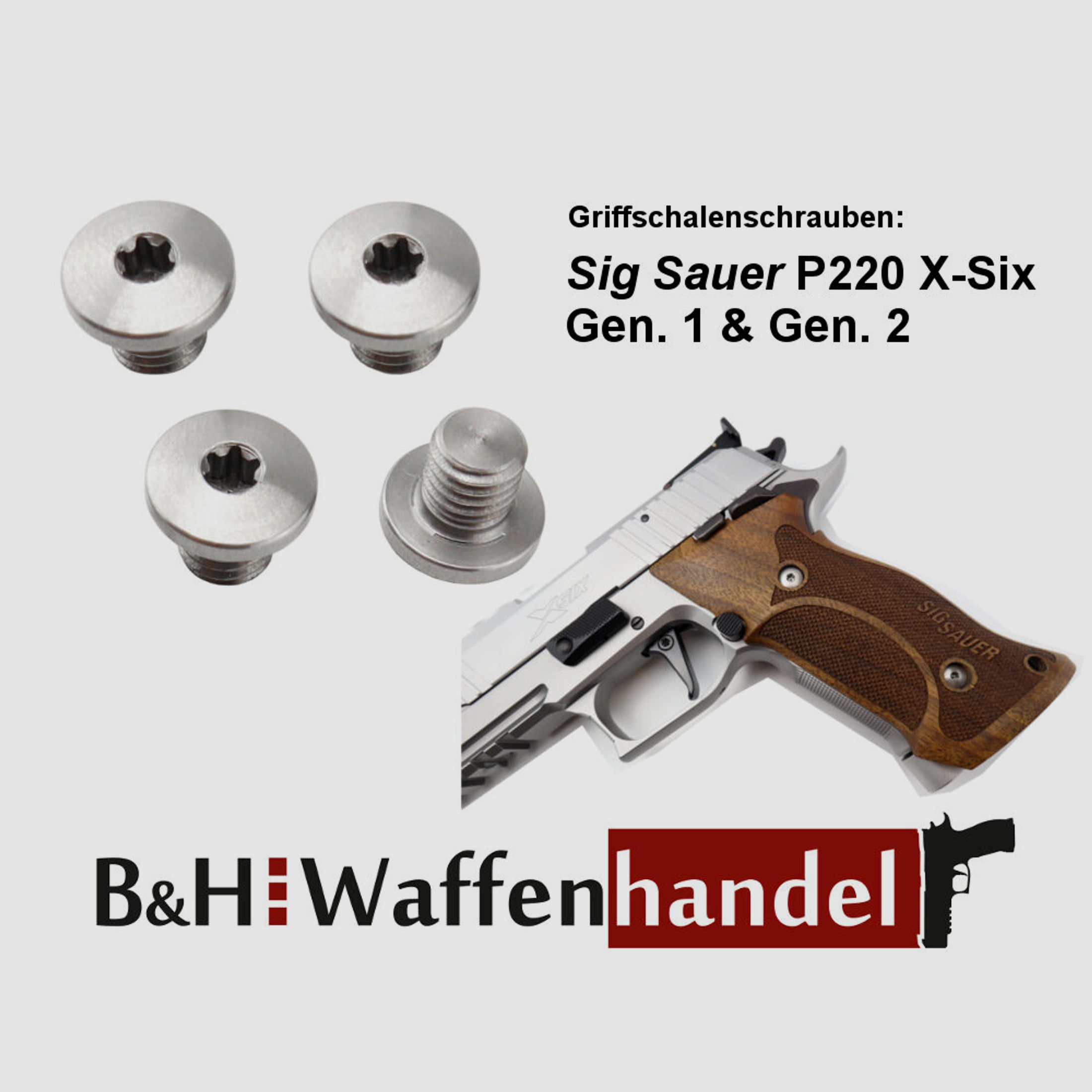 4 Stück Griffschalenschrauben	 Sig Sauer P220 X-Six Gen.1 & Gen.2 X-Serie Torx Edelstahl (stainless)