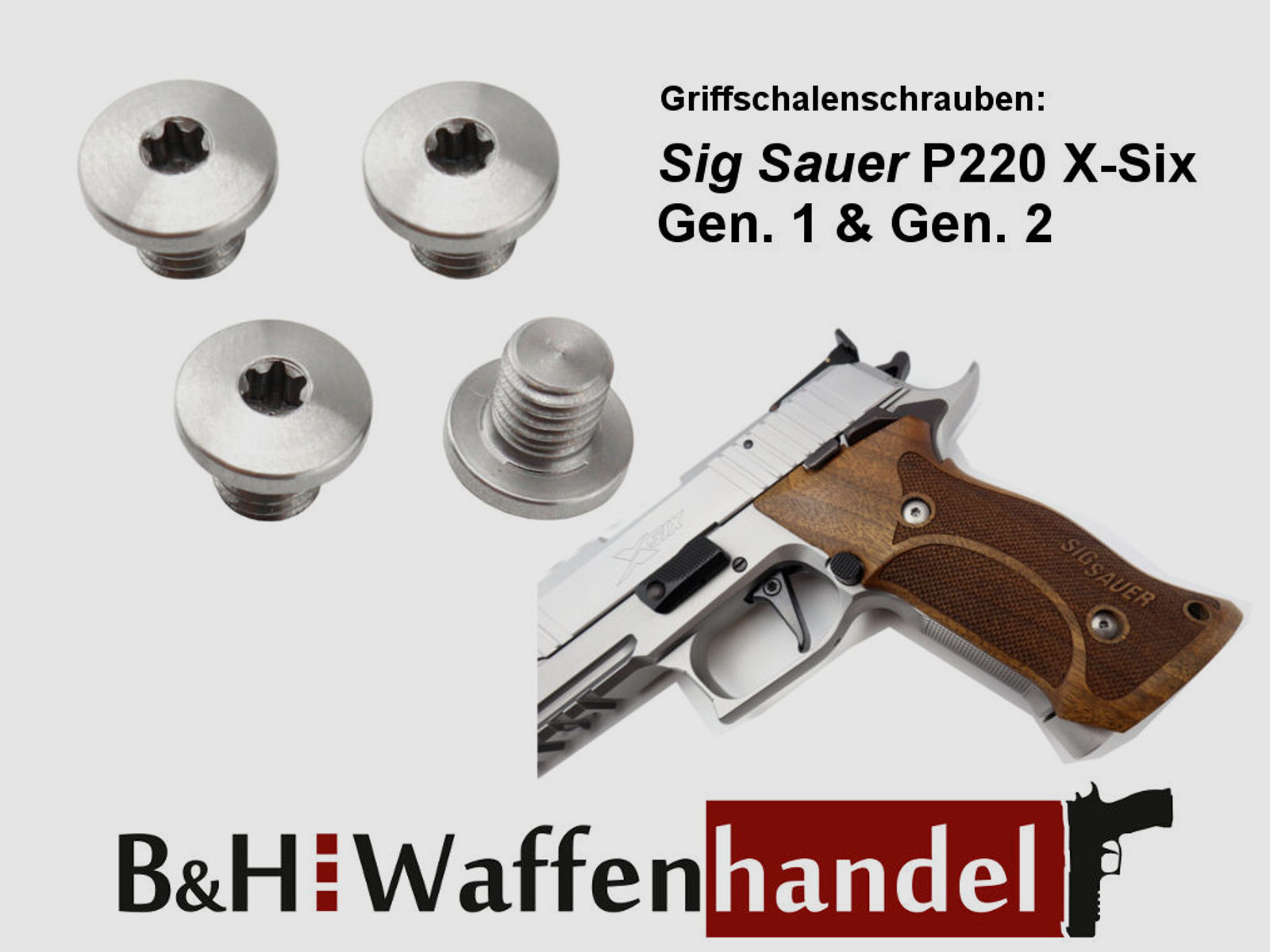 4 Stück Griffschalenschrauben	 Sig Sauer P220 X-Six Gen.1 & Gen.2 X-Serie Torx Edelstahl (stainless)