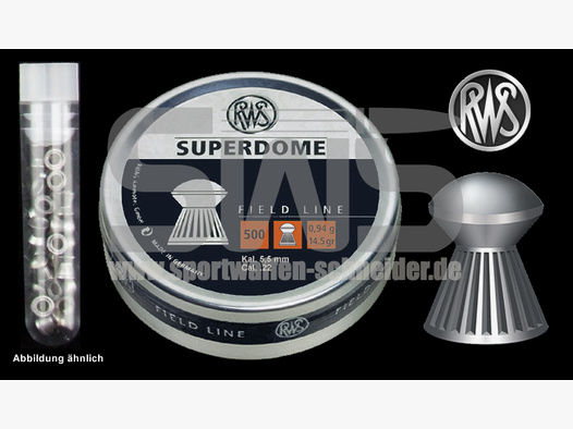 Testpack 20 StĂĽck RWS Superdome Kaliber 5,5mm