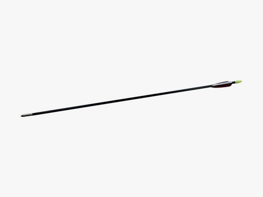 Hohlglaspfeil Swallow mit verzinkter Stahlspitze und Naturbefiederung 5.8 g