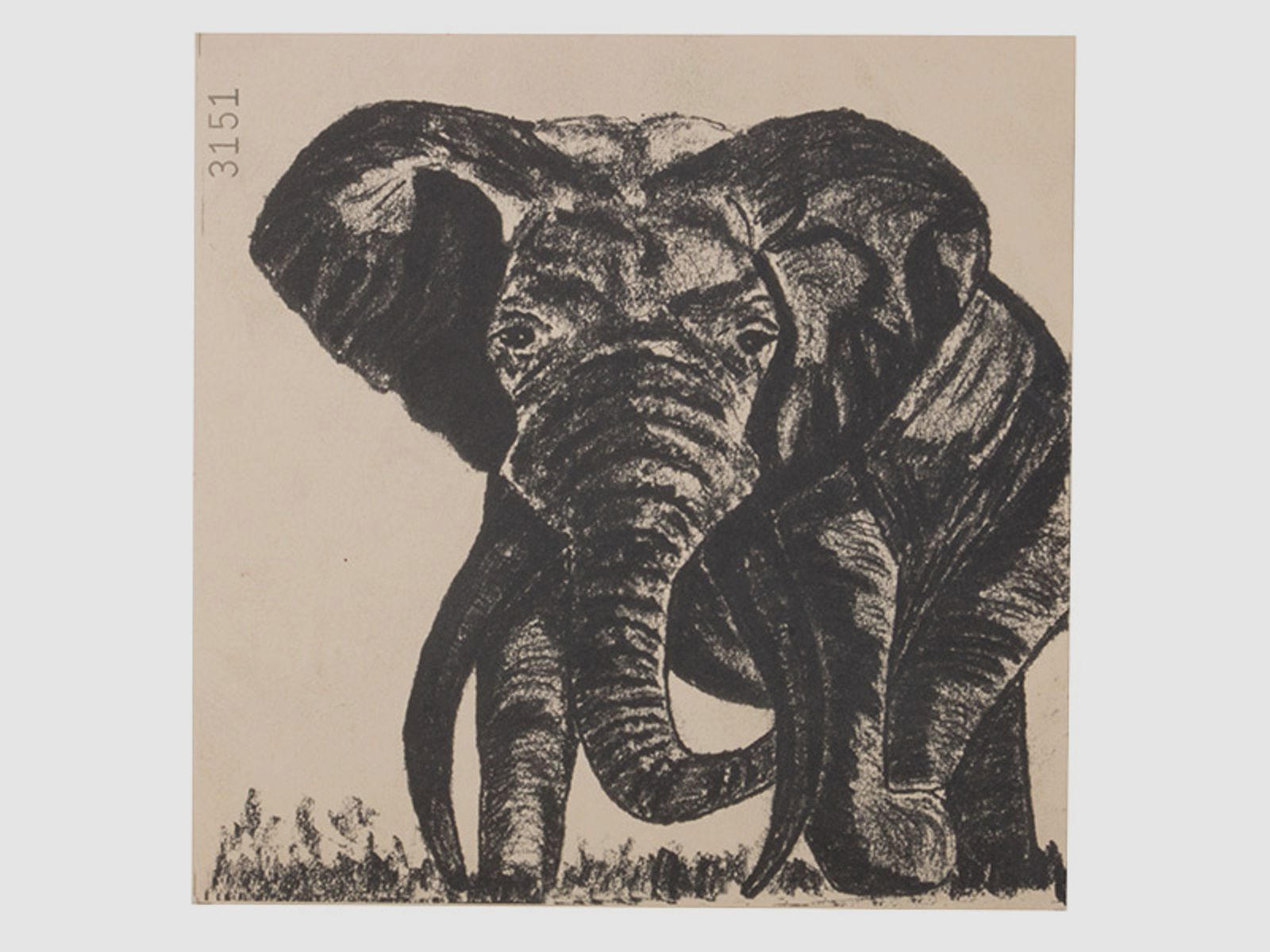 Zielscheibe Elefant 14 x 14 cm 1 StĂĽck