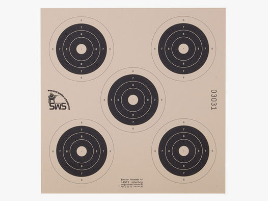 Luftpistole Zielscheibe Trainingsscheibe 5 Spiegel mit 6 - 10 Ringen 17 x 17 cm 1 StĂĽck