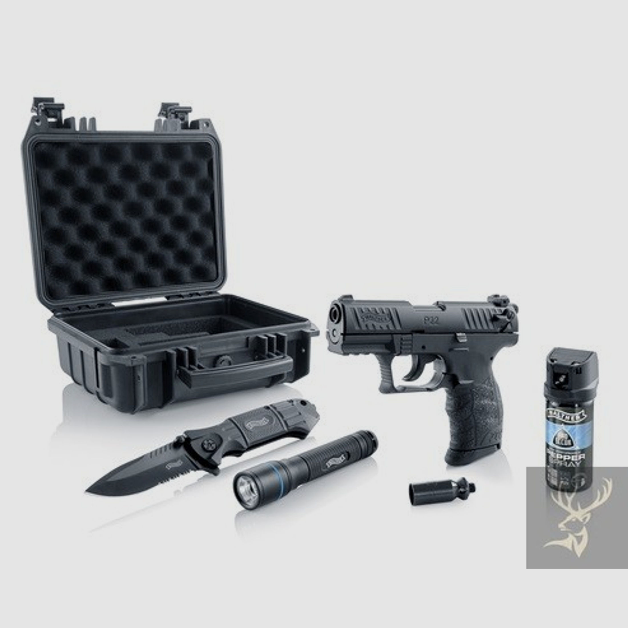 Carl-Walther P22Q R2D-Kit 9mm PAK