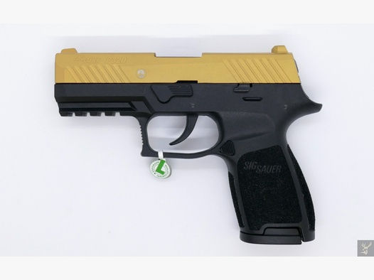 Carl-Walther P22 Ready 9mm PAK