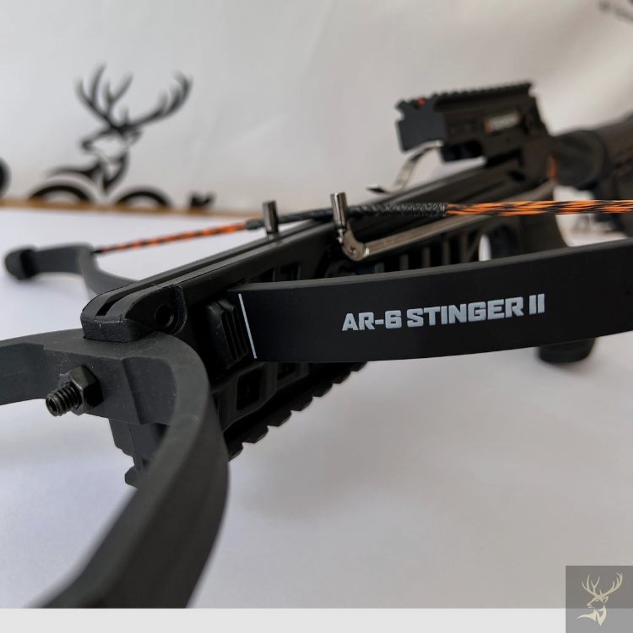 Steambow AR-6 Stinger II Survival