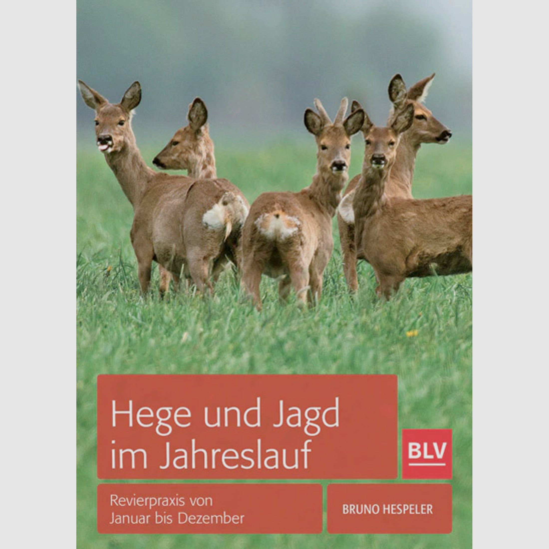 Gräfe & Unzer Buch Hege und Jagd im Jahr   Bruno Hespeler