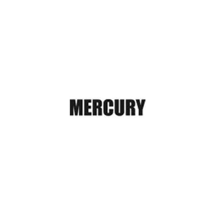 Mercury Light Slug