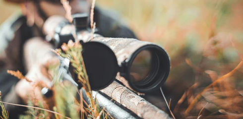 The right riflescope for hunting
