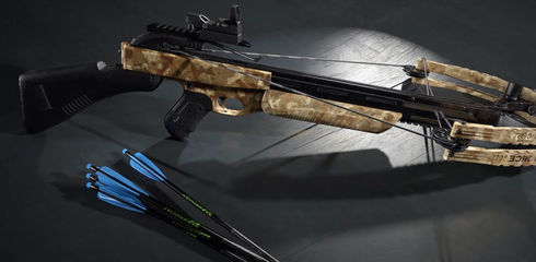 The crossbow in the weapons law