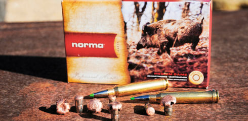 The new NORMA Ecostrike