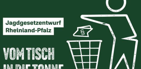 Rheinland-Pfalz plant neues wegweisendes Jagdgesetz