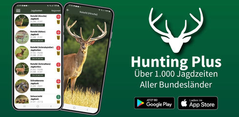Alle Jagdzeiten auf einen Blick - mit Hunting Plus