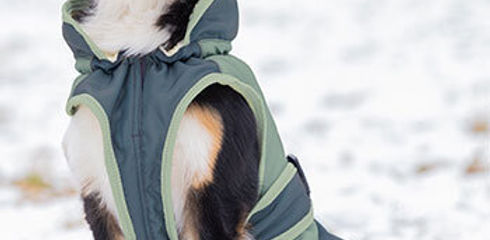 Dog clothing for winter