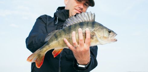 The best times to fish: When is the best time to fish?