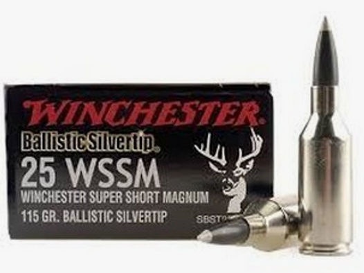 Büchsenpatronen Winchester 25 WSSM 115gr. !!!