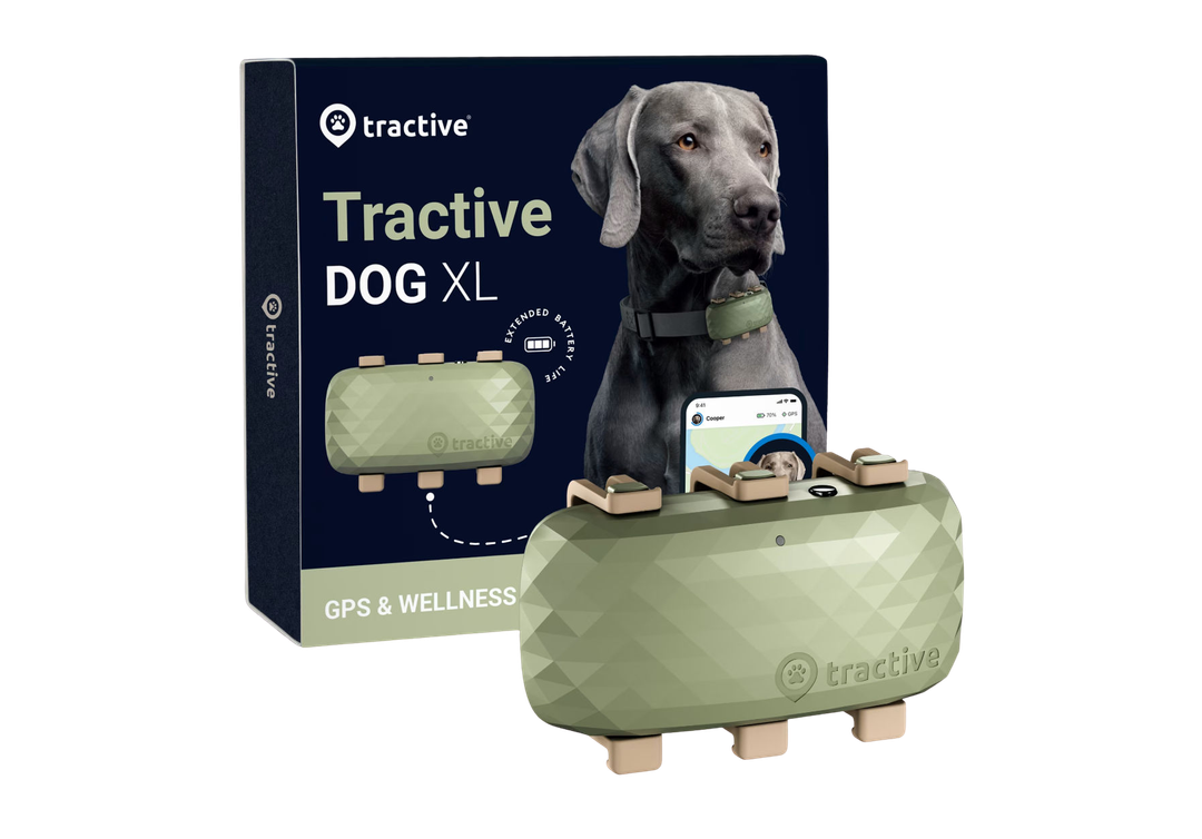 Tractive DOG XL