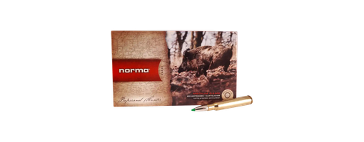 Norma .30-06 Spr. Ecostrike 10,7g/165grs. .30-06 Spr. Ecostrike 10,7g/165grs., Norma